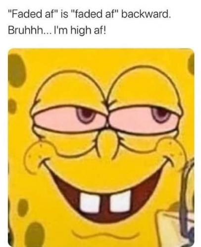 08:33:55 GMT-0500 (EST).image