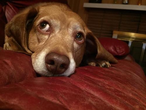 13:03:55 GMT-0600 (CST).image