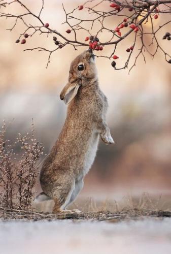 tumblr_7ea52efd97410880b5cec1424fa72877_fa25a9c7_540