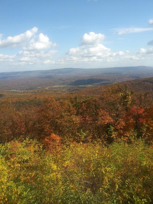 14:34:46 GMT-0500 (EST)