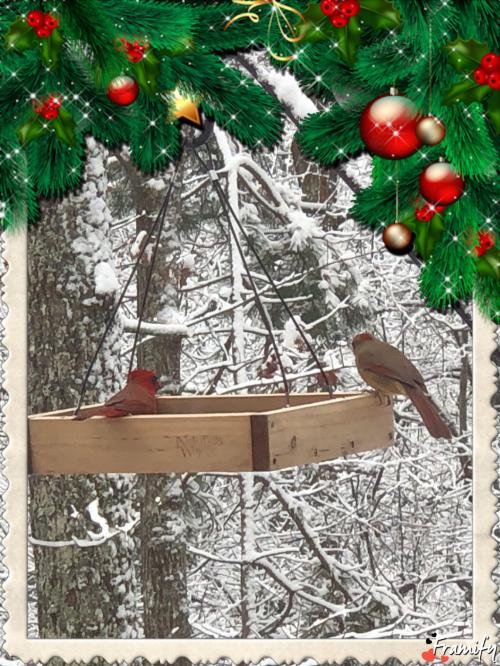 19:25:52 GMT-0500 (EST).image