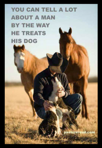 139176274_10158854973493550_9066744034708894486_n