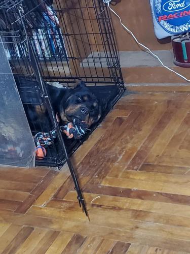 08:45:30 GMT-0800 (PST)