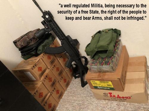 a well regulated00