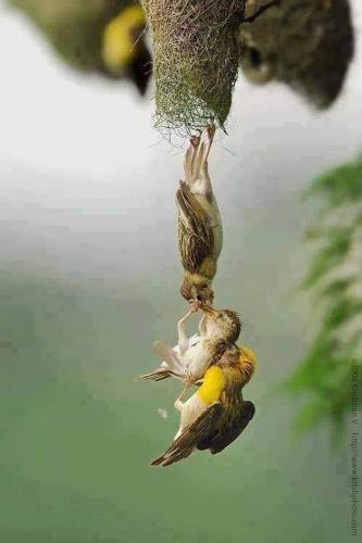 139437115_10158720154168503_7452044657566466692_n