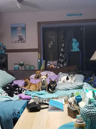 07:42:22 GMT-0700 (MST)