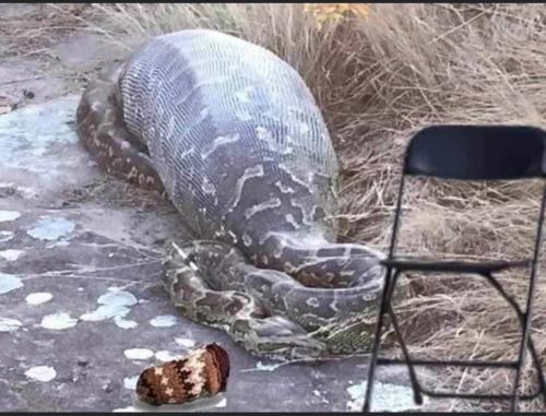 142344286_10225748135036063_3423904534009552518_n