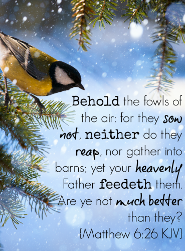 22:24:41 GMT-0600 (CST)