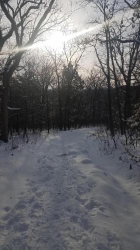 17:50:36 GMT-0600 (CST)