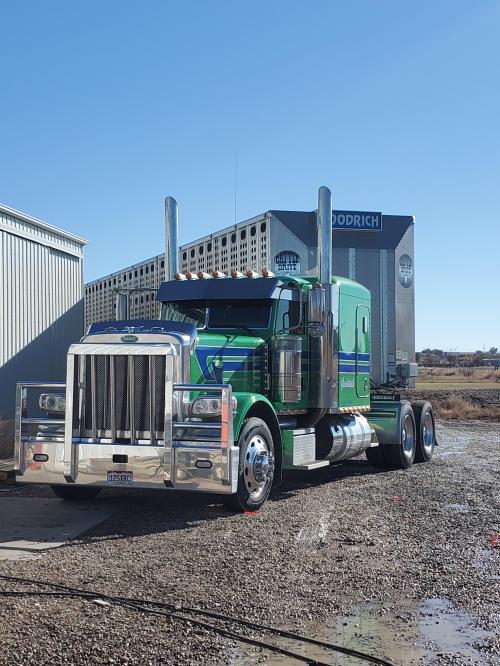 11:31:30 GMT-0700 (MST)