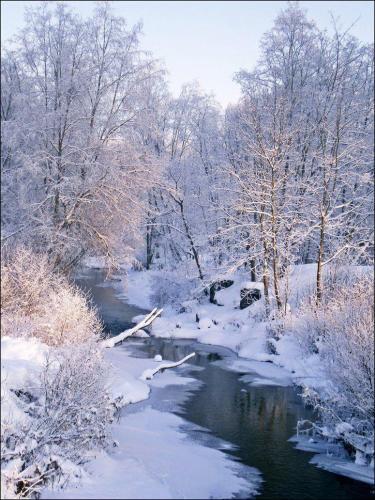 139610881_1494060310793314_1878879110581959566_o