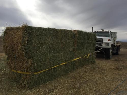 16:56:01 GMT-0800 (PST).image