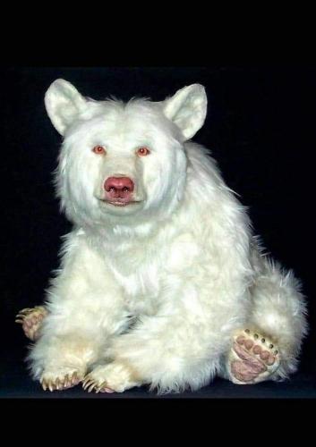 08:07:22 GMT-0600 (CST)