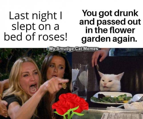 10:41:23 GMT-0600 (CST)