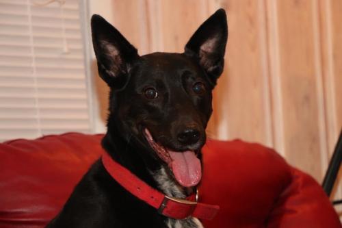 10:06:47 GMT-0600 (CST).image