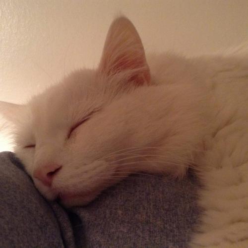 received_341374619892587