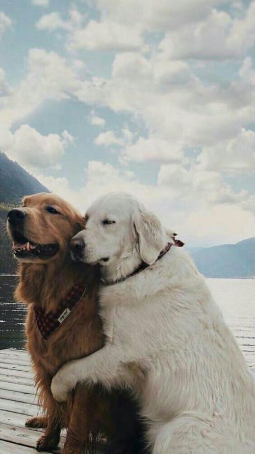 09:30:17 GMT-0700 (MST).image