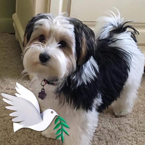 15:04:12 GMT+0100 (WAT)