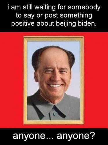 biden356