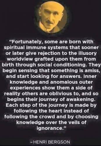 Spiritual_Immune_System