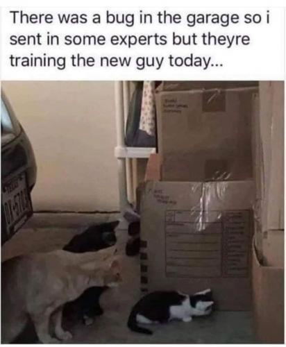 18:59:07 GMT-0800 (PST).image