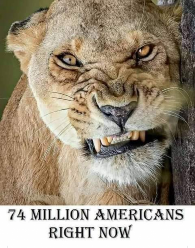 08:29:09 GMT-0500 (EST)