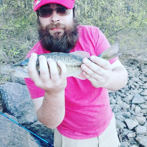 12:54:33 GMT-0500 (EST)