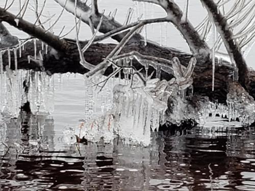 01:46:07 GMT-0500 (EST)