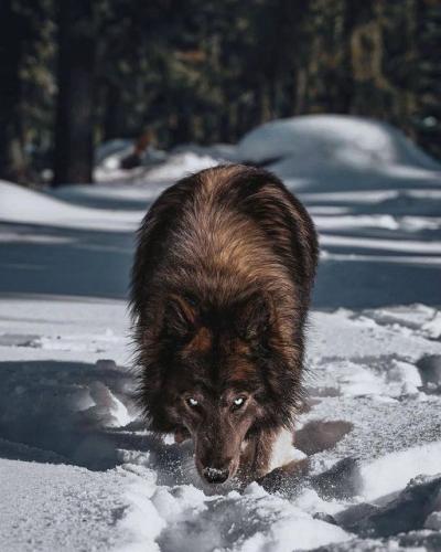 134165892_226686739025360_6166670125205765495_o