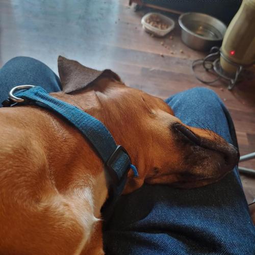 15:55:46 GMT-0600 (CST)