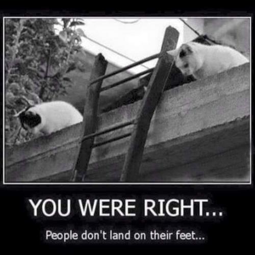 11:48:06 GMT-0500 (EST)