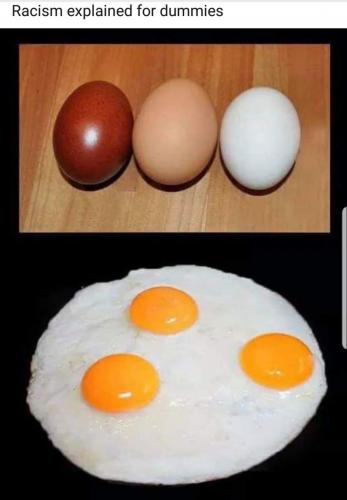 eggs