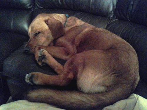 10623312_1484788921795909_6907382314468615950_o