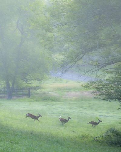 141019287_1500040540195291_5240706701410427581_n