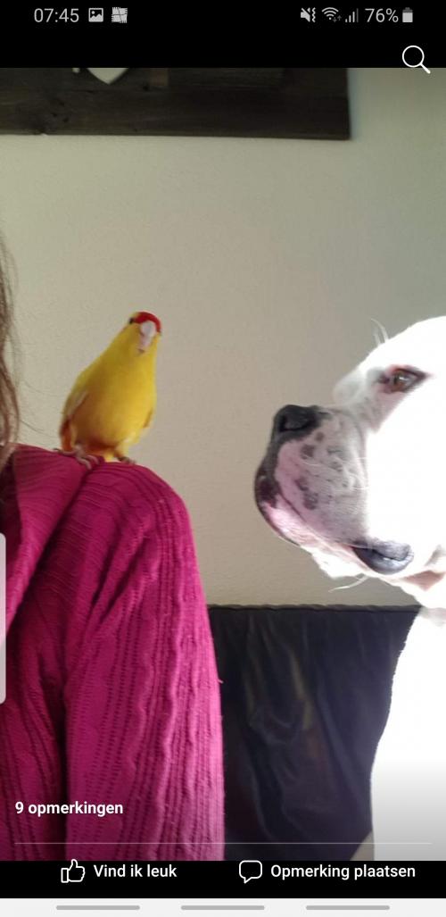 14:30:37 GMT+0100 (CET)