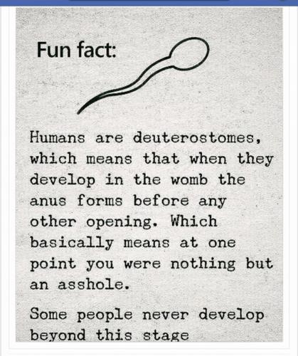 13:06:39 GMT-0500 (EST).image