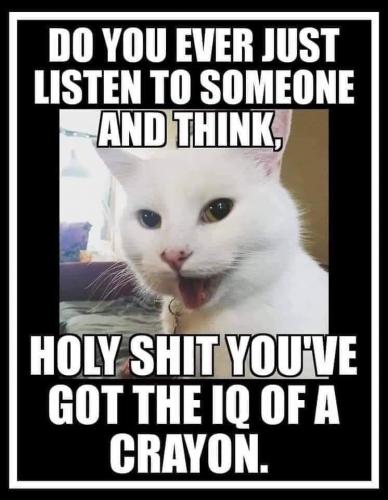 107379146_4097773196916529_3406984770762682076_n