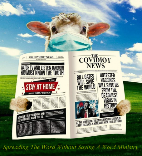 127883942_479436893030603_874301808827724567_n