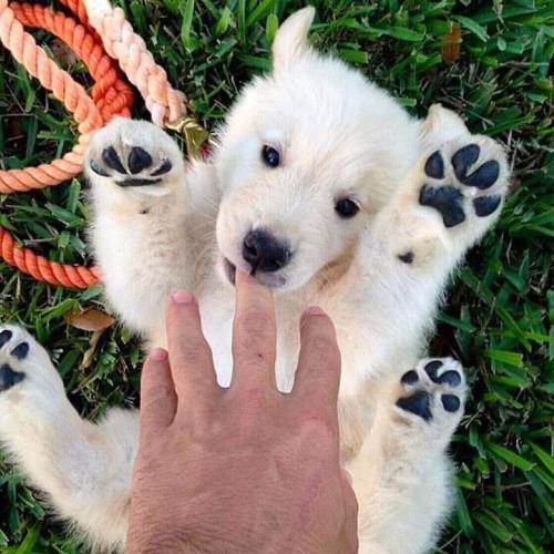 19:23:32 GMT+0100 (WAT)