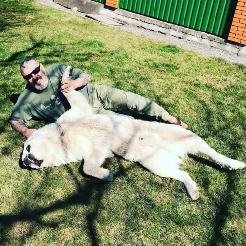 04:17:45 GMT+0000 (GMT).png