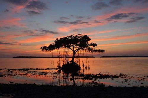 05:40:00 GMT-0500 (EST)