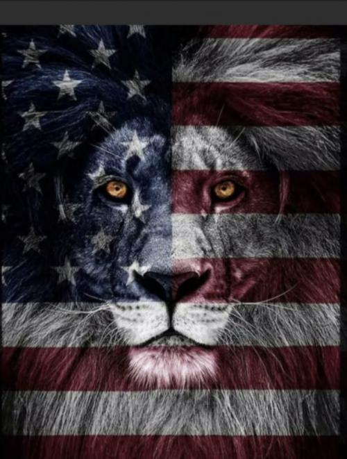 c9227296dd0b82a4f1cab3239e326a22_1024