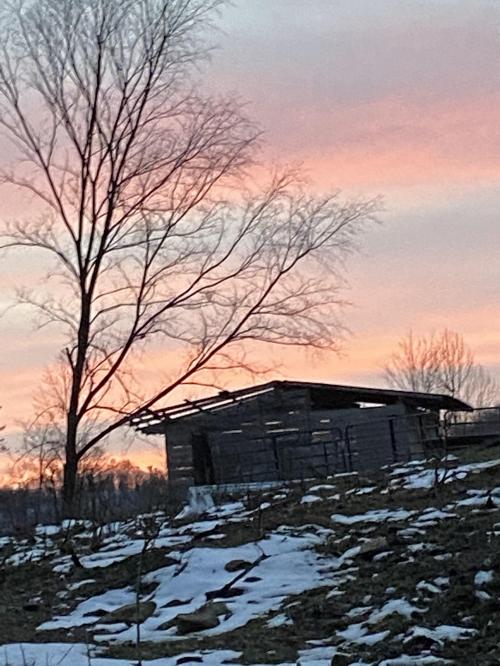 0694752D-A4B5-49BA-BF2B-A63993607CA0