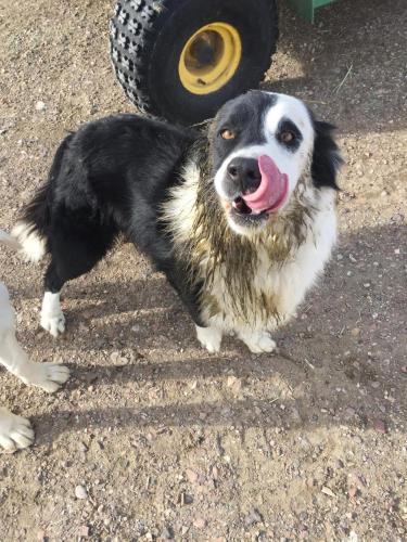 21:09:42 GMT-0800 (PST).image