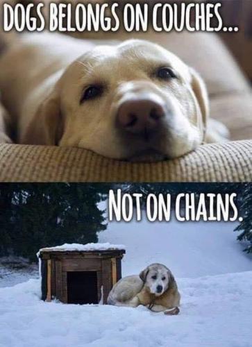 21:34:23 GMT-0800 (PST).image