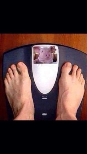 14:22:41 GMT-0500 (EST)