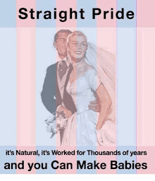 straight-pride-its-natural-its-worked-forthousands-of-years-and-21295638