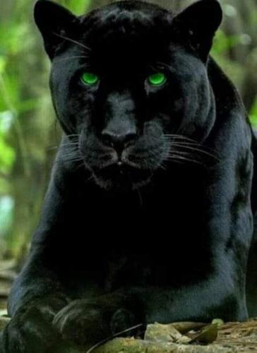 01:15:34 GMT-0600 (CST)