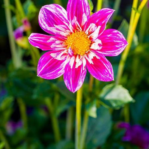 03:56:04 GMT+0000 (GMT)