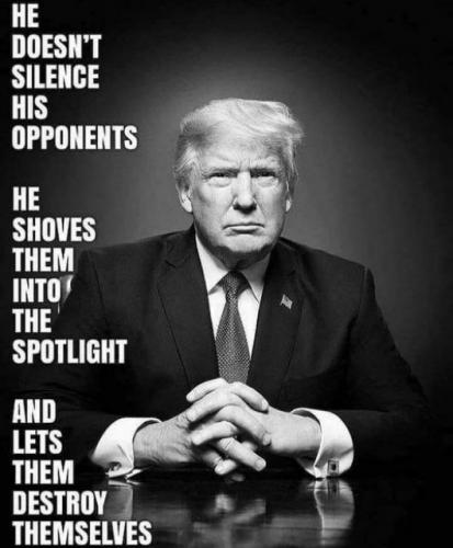ztrump223
